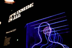 Comment reconquérir son ex en employant la psychologie de manière intelligente