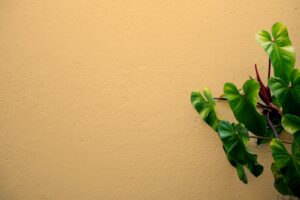 Le papier peint en France : Un art de décoration intérieure