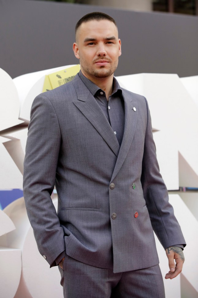 "Ron a mal tourné" Première mondiale - 65th BFI London Film Festival