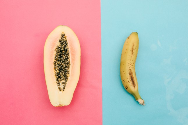 Papaya et banane d'en haut. Concept sexuel
