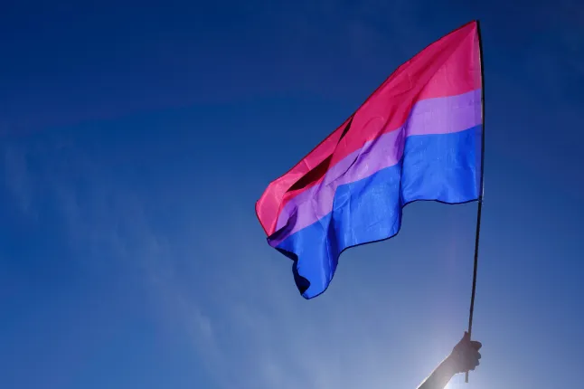 Drapeau bisexuel flottant au vent sur un ciel bleu radieux.