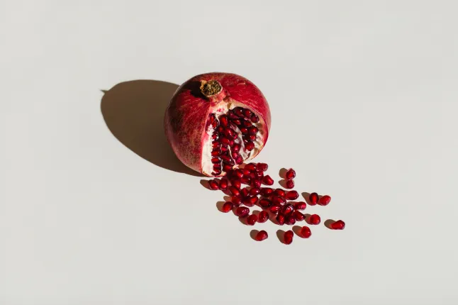 ut grenade sur fond blanc. Notion de menstruation. Symbole du vagin. Gynécologie, santé intime féminine